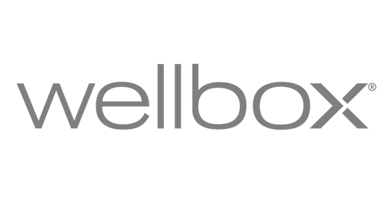 Logo Wellbox